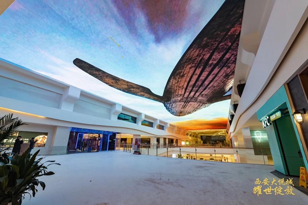 西安大悦城品牌盛大启幕30%首进西北品牌，4大主题街区潮酷来袭