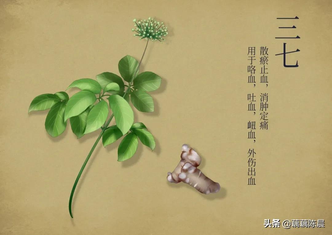 淤血长期积在人体内会怎么样,体内陈旧的瘀血怎么处理