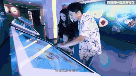 青岛贝林自然博物馆,青岛贝林博物馆门票优惠政策