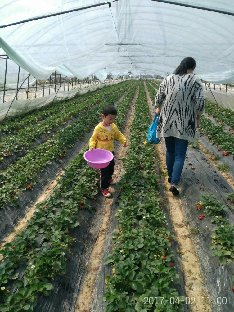 武汉周边自驾游景点排名前十名,武汉周边别墅度假村农家乐