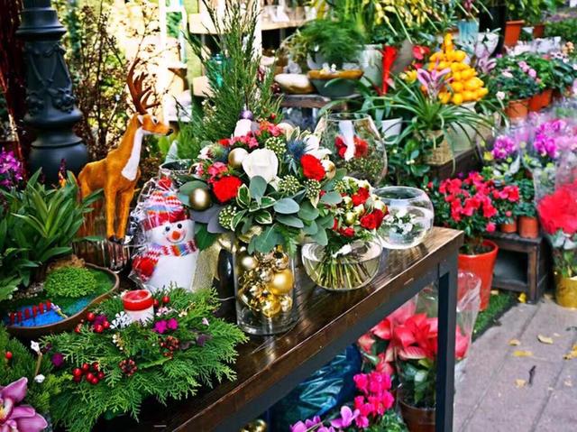 成都两日游旅行攻略,成都到达古冰川2日游攻略多少钱