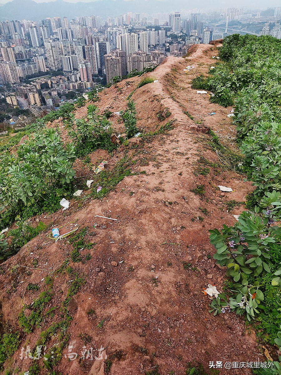 好奇探寻平顶山顶是否“平”，无意发现了渝中区与沙坪坝区的界牌