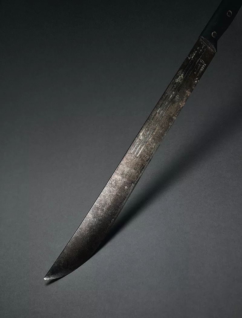 极限运动一般人能玩吗,极限运动爱好者有什么性格