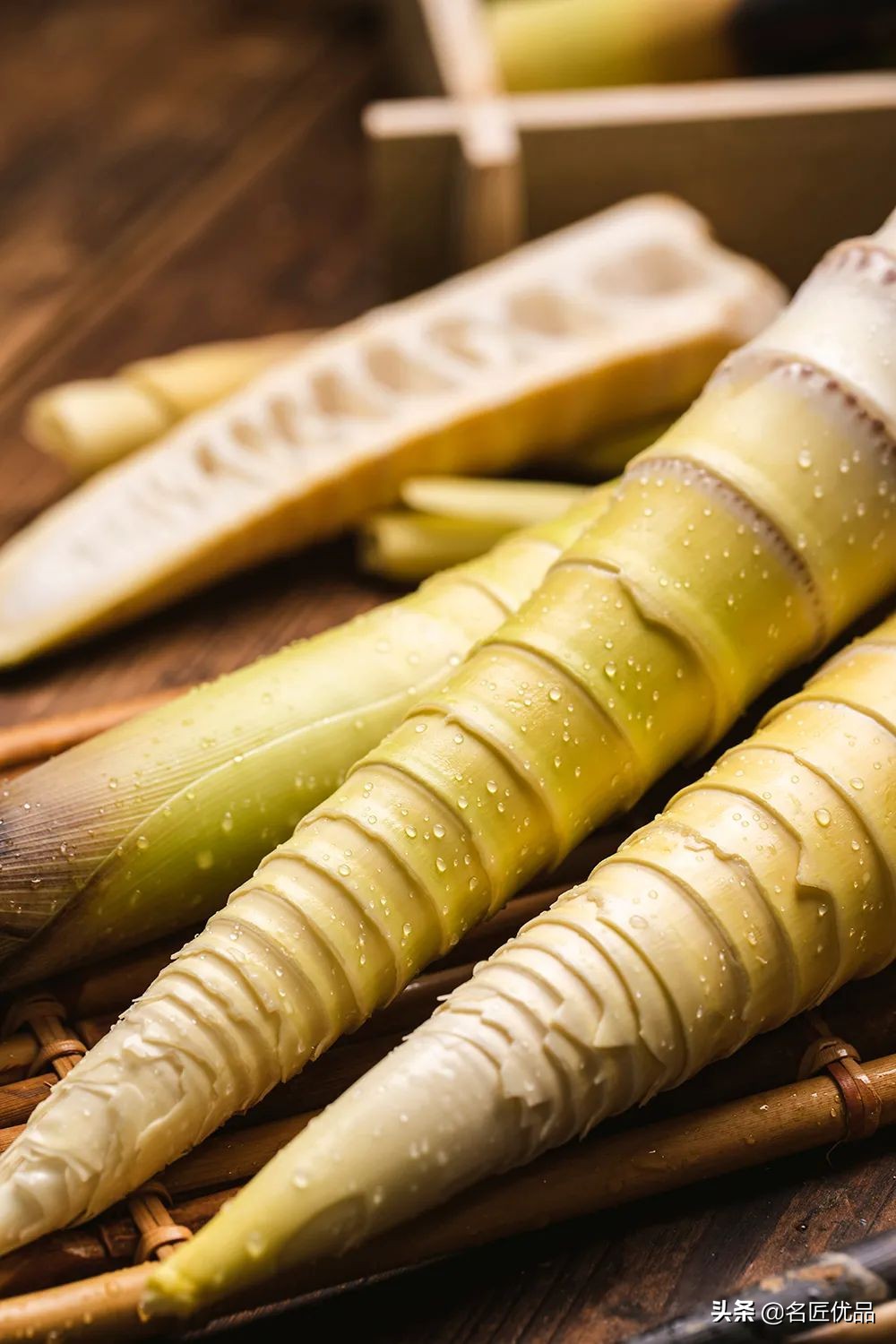 人吃的笋和大熊猫吃的笋一样吗,春笋是大熊猫吃的吗为什么