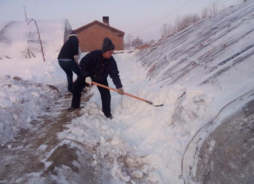 大寒节气是哪一天开始,大寒节气在一年的什么时候