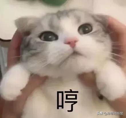 夏天不脱妆的定妆粉推荐,夏天定妆不脱妆的方法