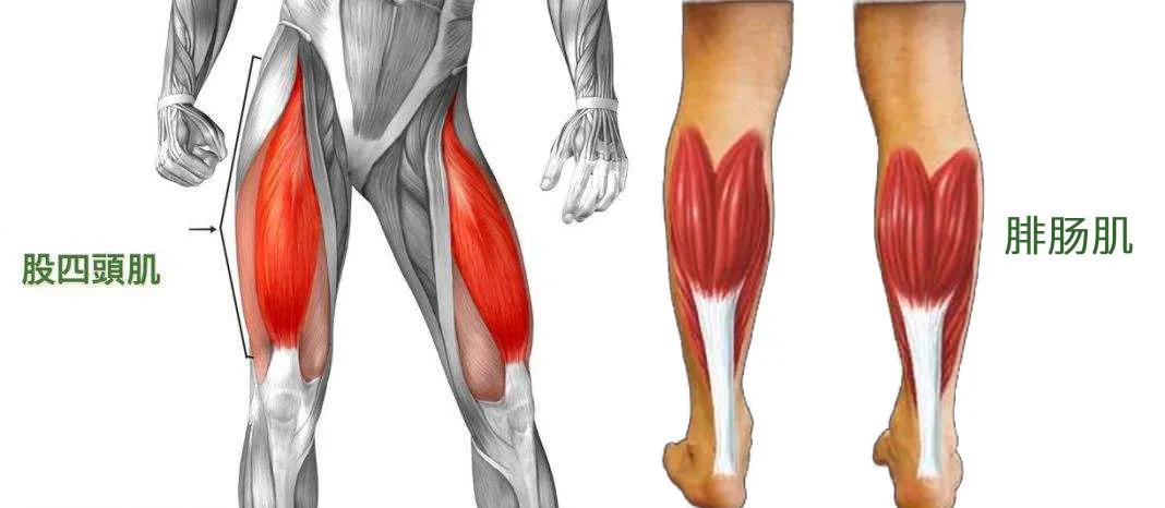 还在为x型腿烦恼吗,腿早晚粗细相差很大如何改善