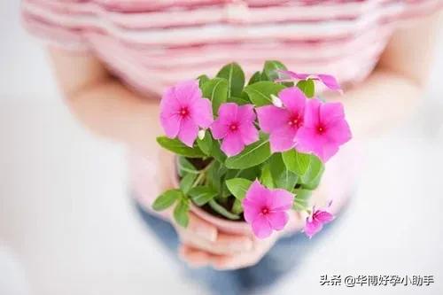 多囊卵巢有哪些症状和治疗方法,多囊卵巢最好的治疗方法是怎么治