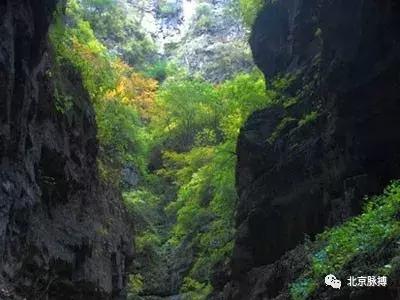 画说回龙观,北京最漂亮的森林公园