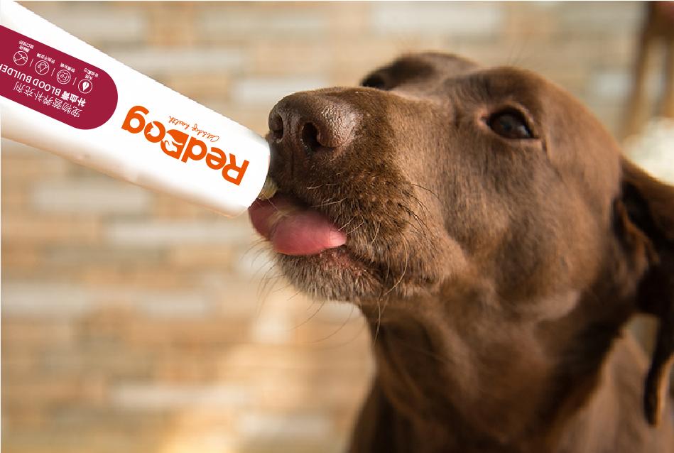 狗狗贫血吃什么补血最快推荐,狗狗贫血吃什么补血最快