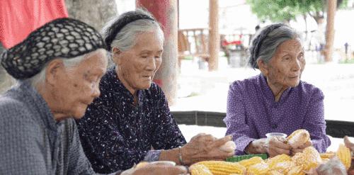 外省旅游团探秘广西巴马长寿之旅,巴马旅游探索巴马的奇妙之旅
