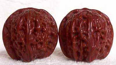 文玩核桃详解,转载分享知识