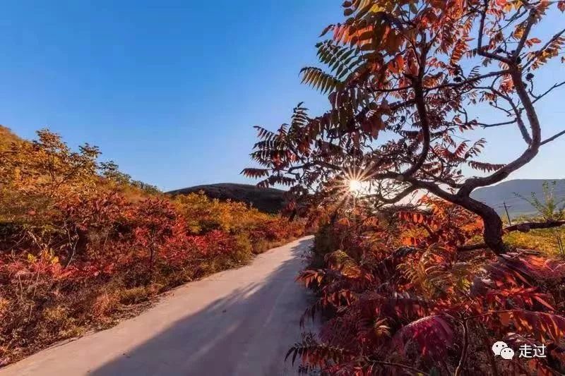 玉田县什么时候能发展一下,玉田是个怎样的地方