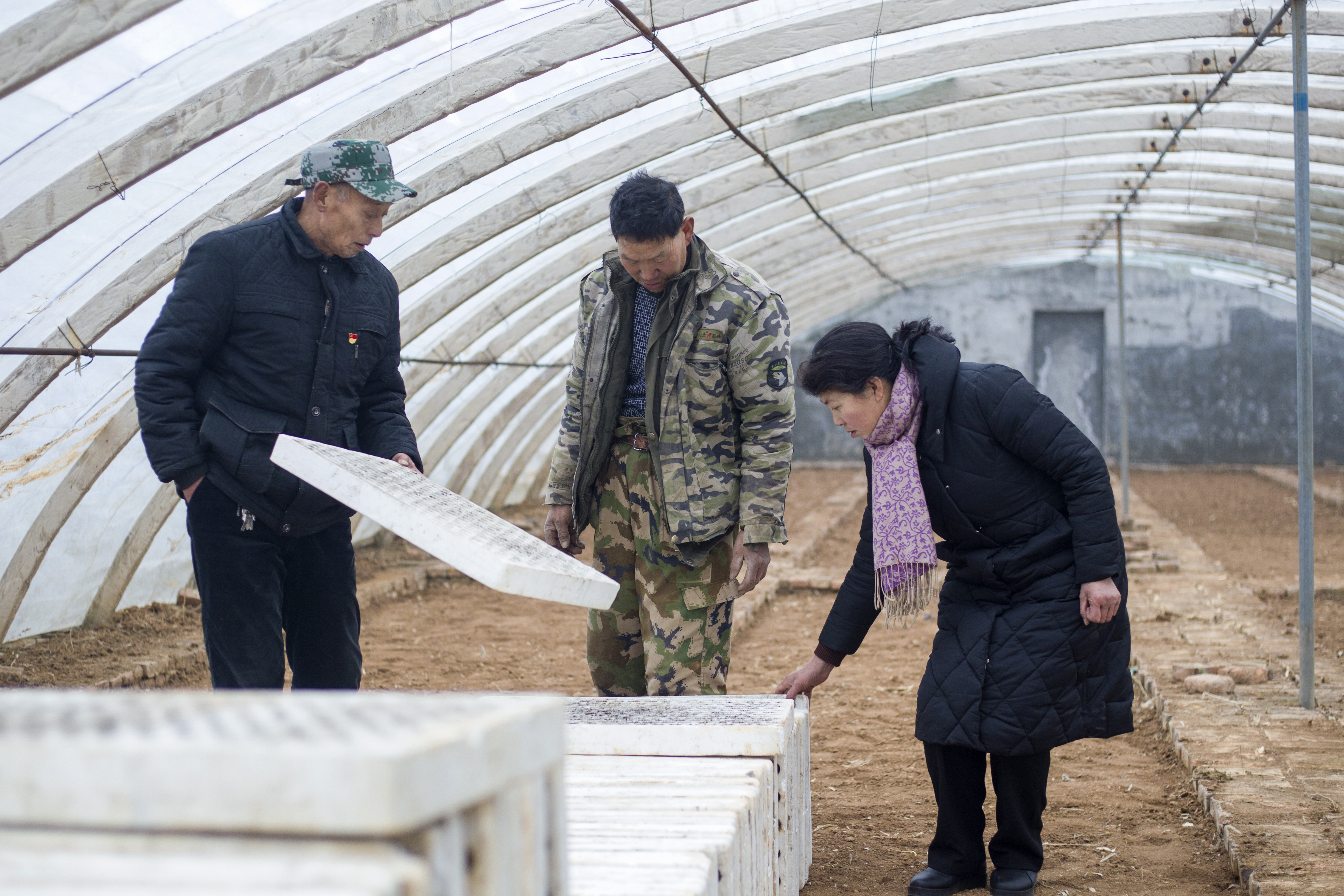 三门峡女孩世界冠军,世界冠军母亲带全村留守女儿就业