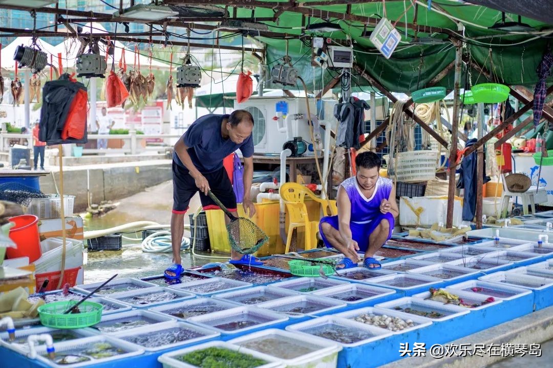 东澳岛攻略,东澳岛旅游攻略