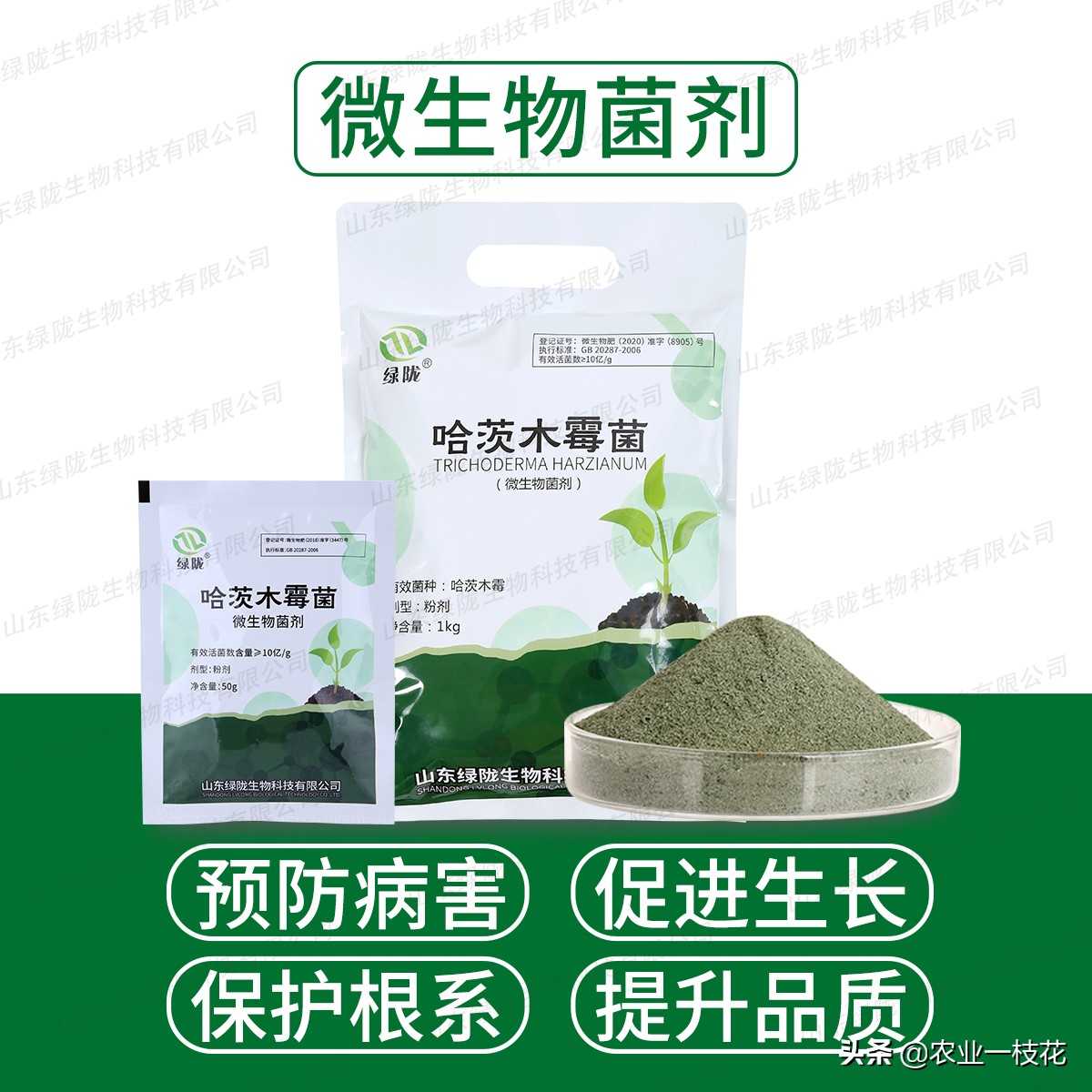 小番茄猝倒病,番茄得猝倒病怎么办