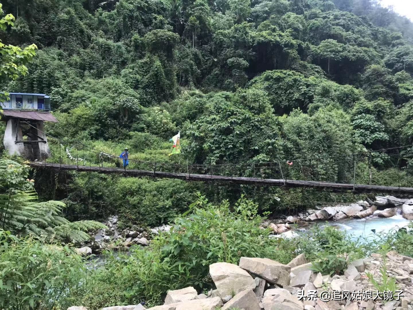 穿越原始的森林,穿越原始森林巨大蜈蚣