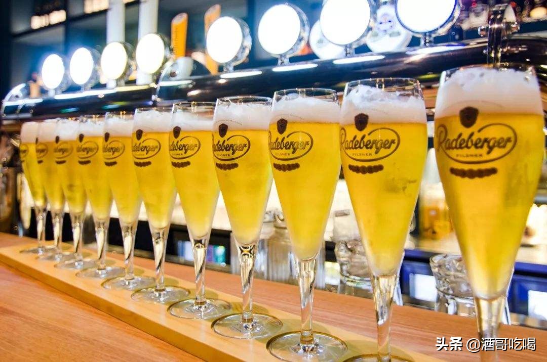 啤酒行业新手入门知识,啤酒入门基础知识