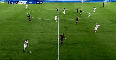 托纳利红黑,托纳利红黑血脉