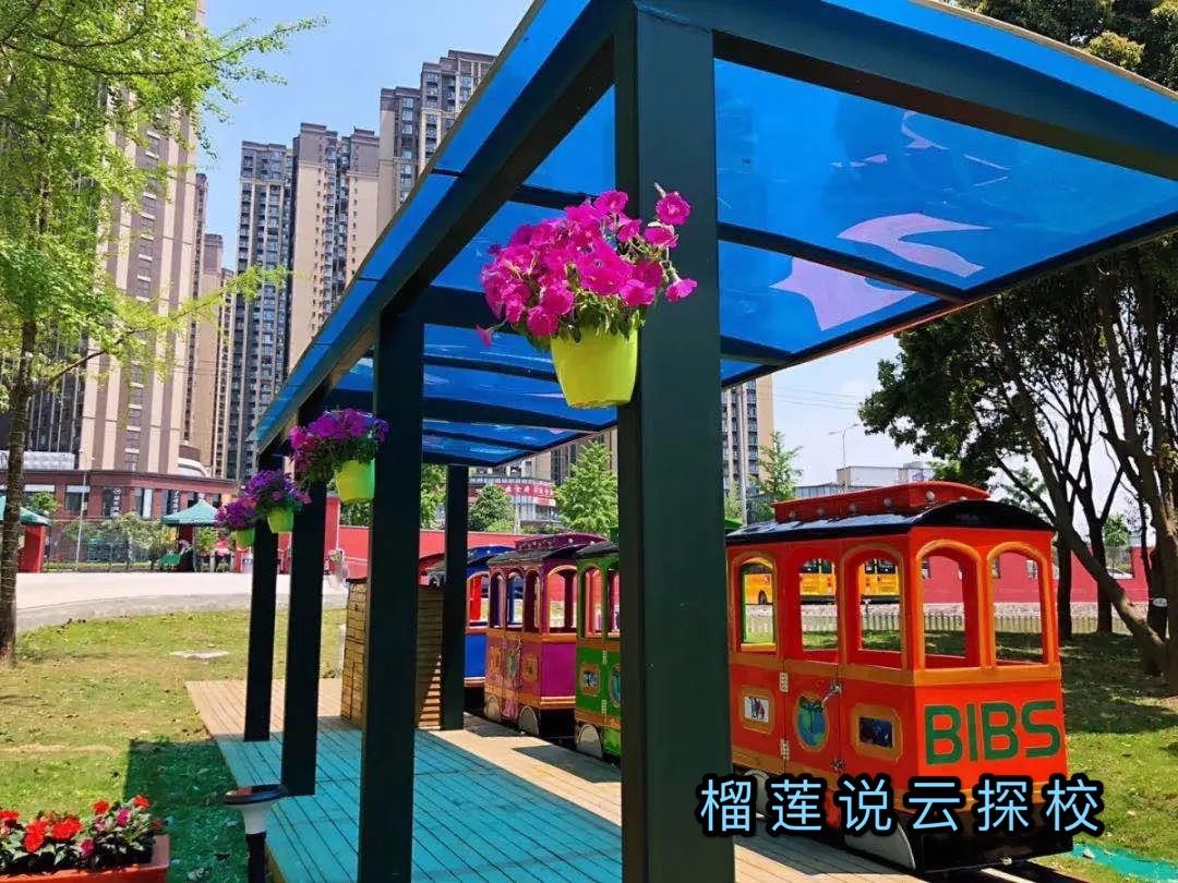 成都有ib学校吗,成都七大私立小学