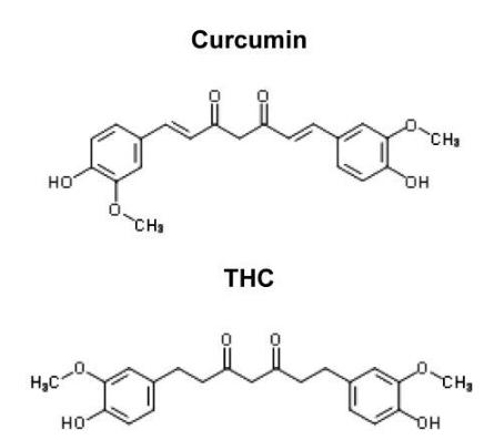 中药姜黄素能分布到慢淋白血病的单核细胞当中起到辅助杀肿瘤作用