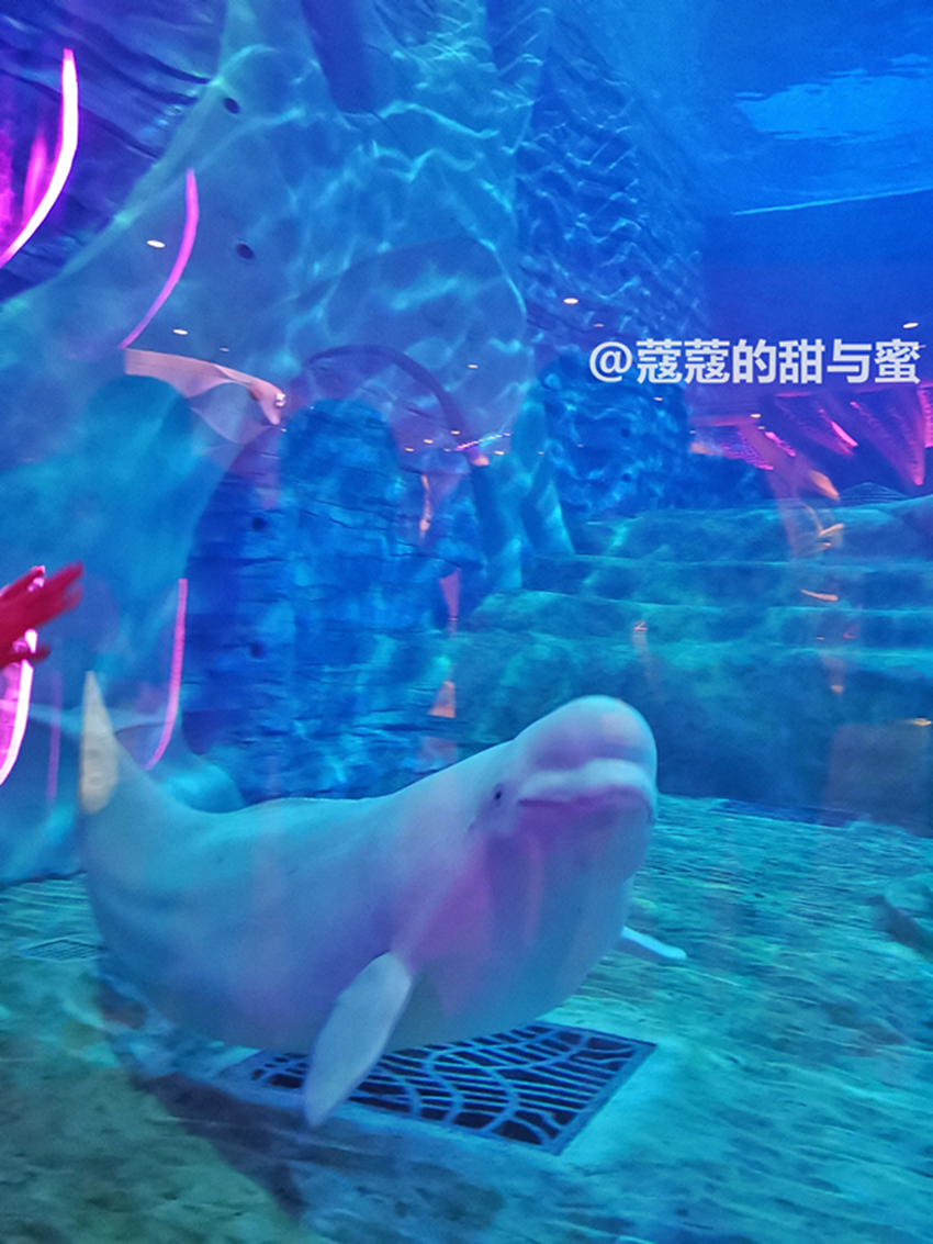 三亚亚特兰蒂斯攻略自由行五天,三亚七天自由行攻略亚特兰蒂斯