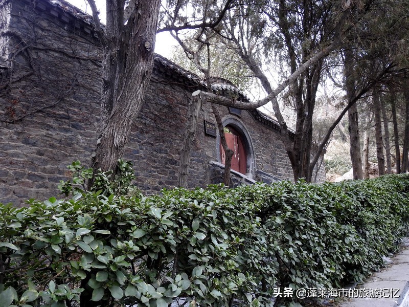 蓬莱户口去蓬莱阁,蓬莱人游蓬莱