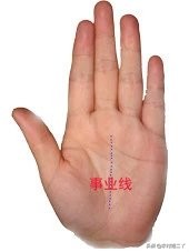 八分钟教你看手相,看手相学习好看哪根线