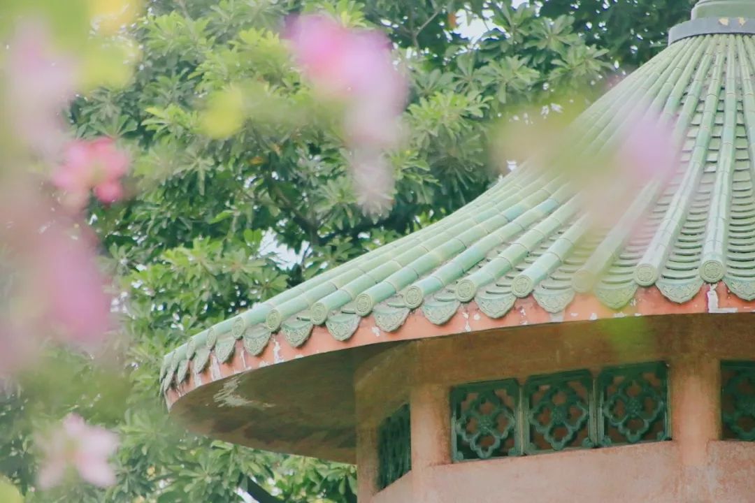 广州拍照好看的地方情侣,广州适合女孩子拍照的地方