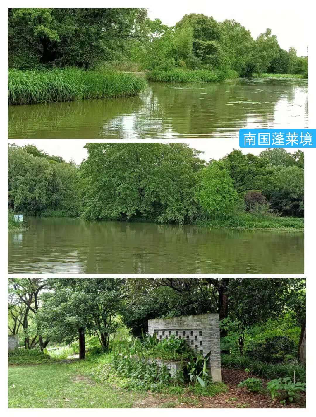 文化源远,三:水中寺庵？秋雪四面环水似孤岛蒋村二客夜走秋雪庵