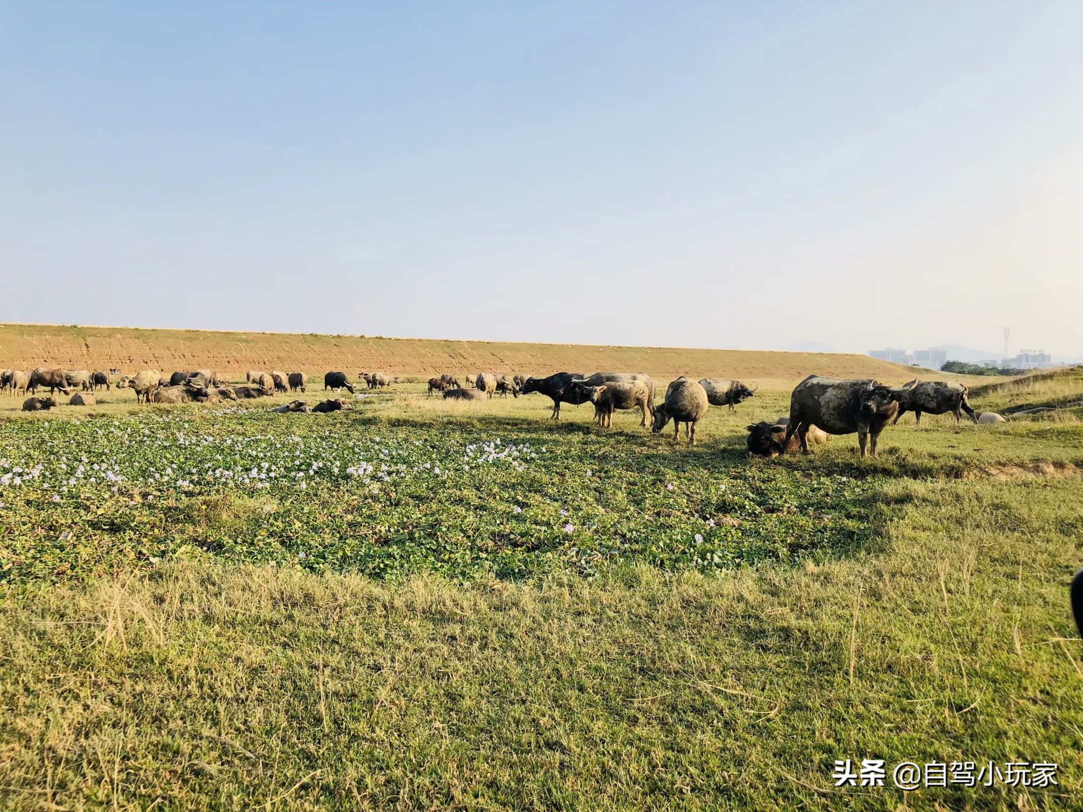 离深圳最近的野营地,深圳适合钓鱼露营的地方