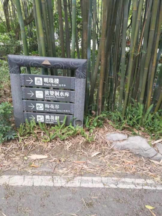 广州白云山游记作文,难忘的旅行广州白云山