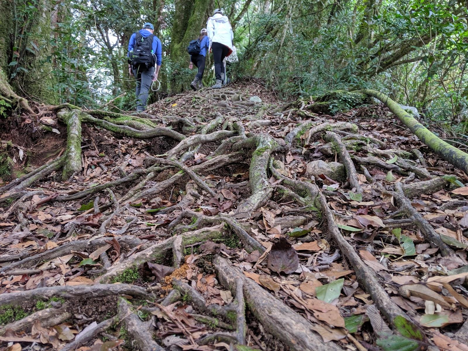 lasportiva登山鞋,lasportiva和scarpa徒步鞋哪个好