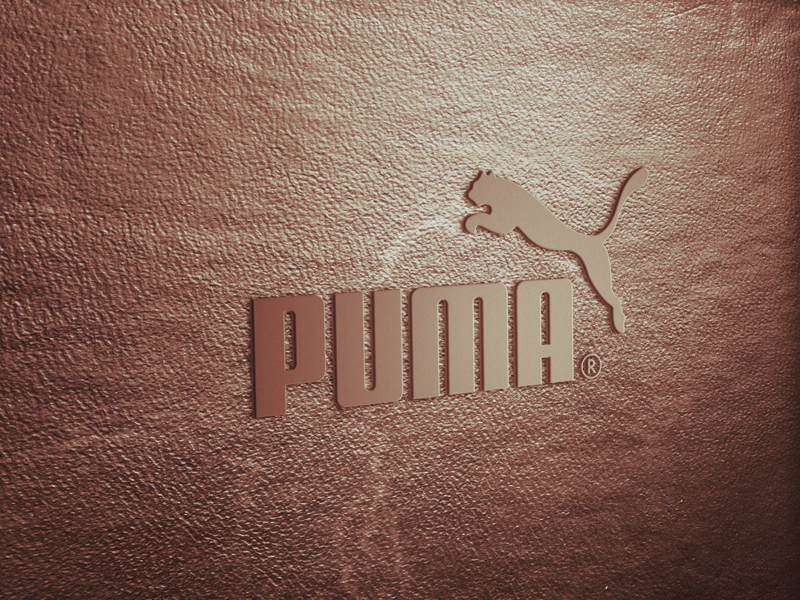 分享100多款图形logo设计,logo样机资源