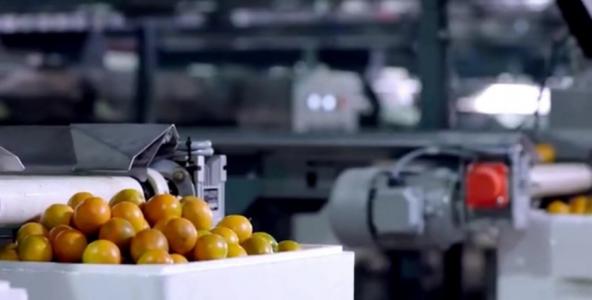 顺丰生鲜水果配送方案,顺丰发布生鲜水果寄递解决方案