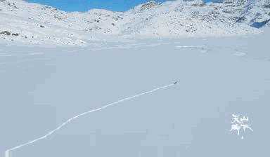 我国旅游日,中国旅游日5.19意义