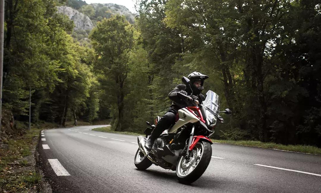 2019*口车进**型价格一览（上）