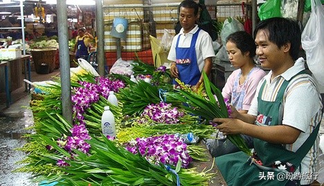 曼谷夜市必去十大景点,曼谷夜市水果西施