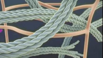 了解抗衰老护肤品,热玛吉抗衰2019