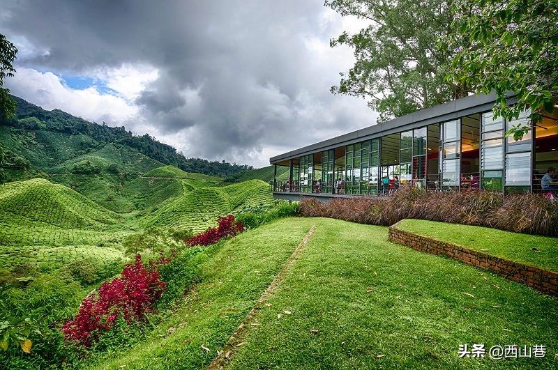 马来西亚国民奶茶品牌,马来西亚传统国民零食品牌叻歌派