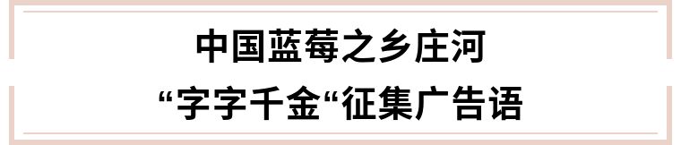 蓝莓推荐广告语,蓝莓宣传广告语四个字