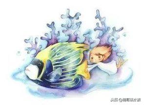 养鱼为什么要养绿水,养鱼为啥要养单数呢