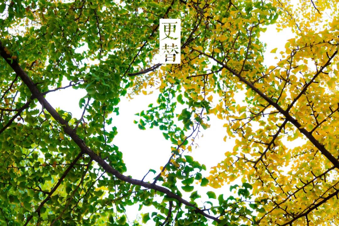 三亚和厦门哪一个更值得去旅游,三亚和厦门哪个地方值得去