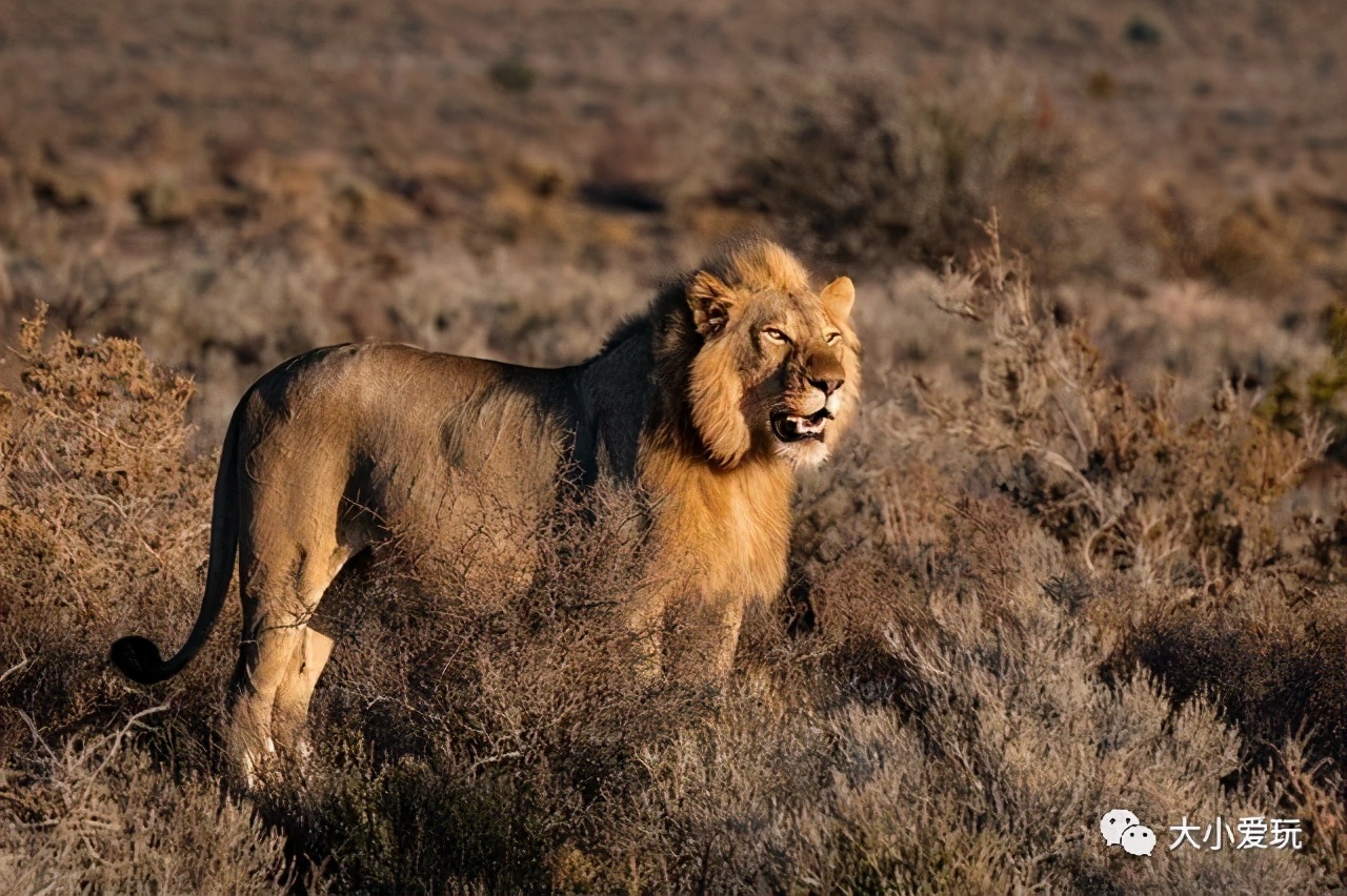 带娃去这7家亲子酒店,一定要带孩子去的亲子酒店