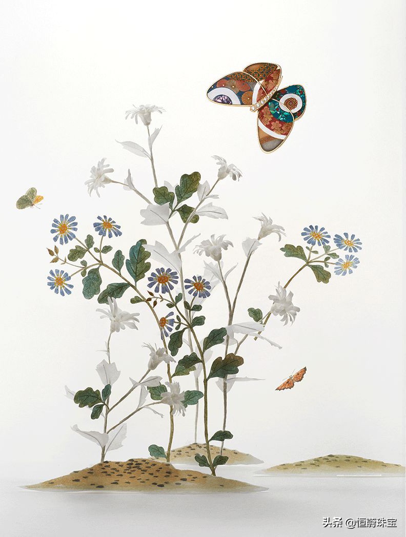 梵克雅宝蝴蝶胸针,梵克雅宝的历史著名胸针设计