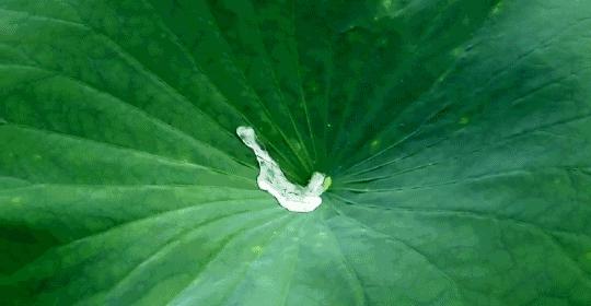 越软的鞋子走路越累,越软的鞋底跑步越舒服吗