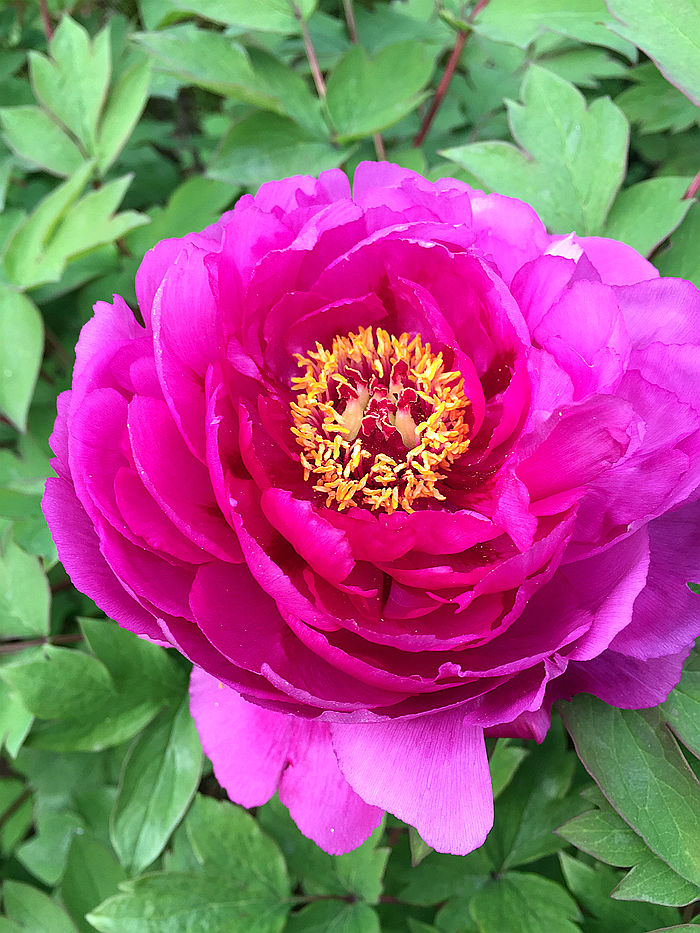 发现同学偷自己钱怎么办,如果你的钱被同学偷了该怎么办