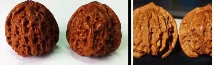 文玩核桃盘玩过程中如何上油,文玩核桃上油发黑了怎么办