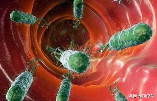 胃癌中的幽门螺旋杆菌可以治好吗,胃癌还有必要治疗幽门螺旋杆菌吗