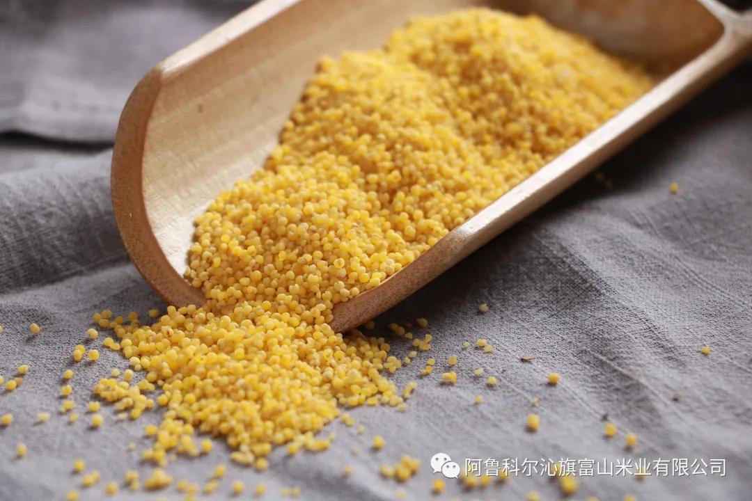 富山小米你了解吗?